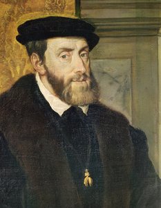Detalle del retrato sentado del Emperador Carlos V (1488-1576) 1548
